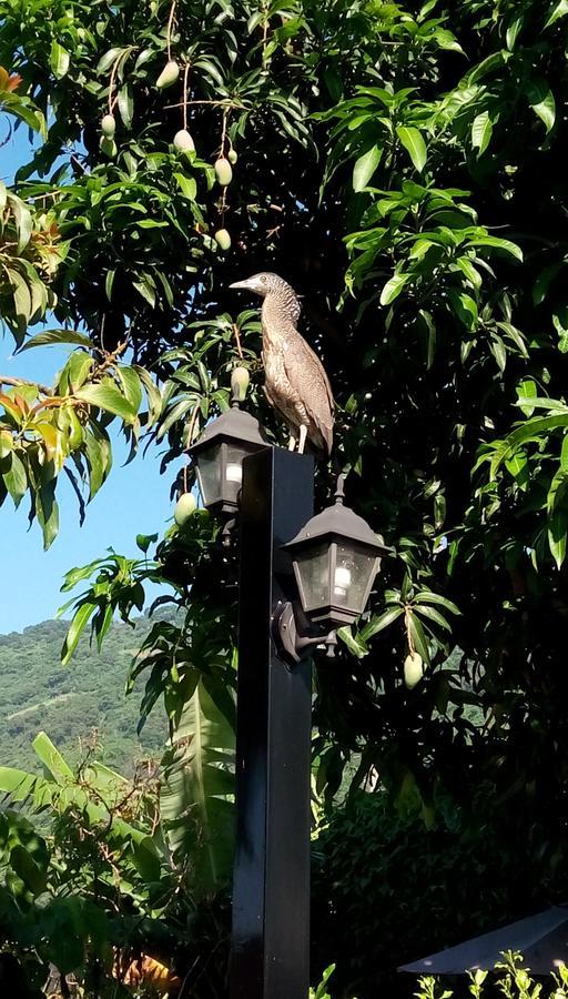 Amy Walker B&B Taimali Bagian luar foto